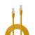 Lindy 1m Cat.6A SFTP LSZH Patch Cable Yellow 47862