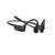 Shokz OpenComm2 UC Wireless Earbud C110ANBKEU000