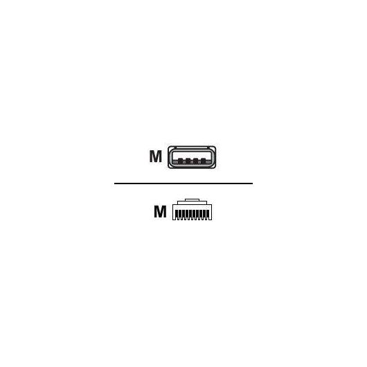 Zebra USB cable USB (M) to RJ45 (10 pin) (M) 2 CBA-UF1-S07ZAR